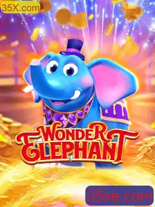 Descubra o Fascinante Mundo de WonderElephant em 35X.com